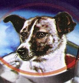 laica perra astronauta
