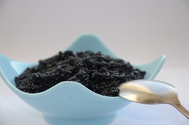 caviar de beluga