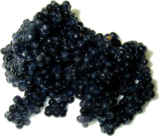 caviar ruso negro